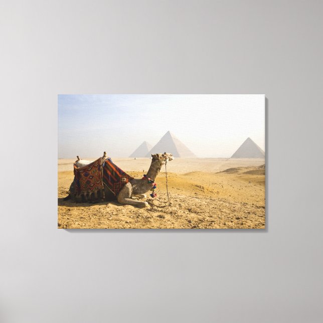 Lienzo Egipto, El Cairo. Un camello solitario (Anverso)