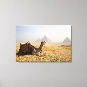 Lienzo Egipto, El Cairo. Un camello solitario