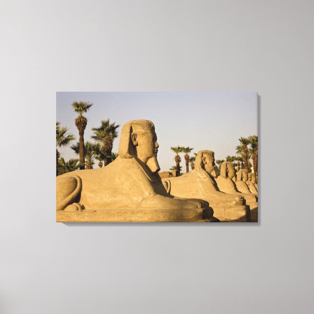 Lienzo Egipto, Luxor. La Avenida de las Esfinges conduce  (Anverso)