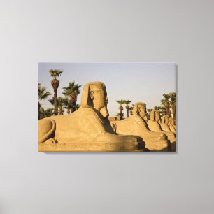 Lienzo Egipto, Luxor. La avenida de las esfinges lleva a