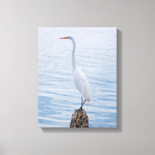 Lienzo Egret Perch