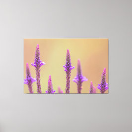 Lienzo Einfach zum Träumen...