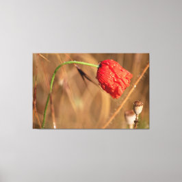 Lienzo Einfach zum Träumen und Entspannen...