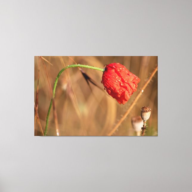 Lienzo Einfach zum Träumen und Entspannen... (Anverso)