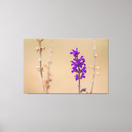 Lienzo Einfach zum Träumen und Wohlfühlen...