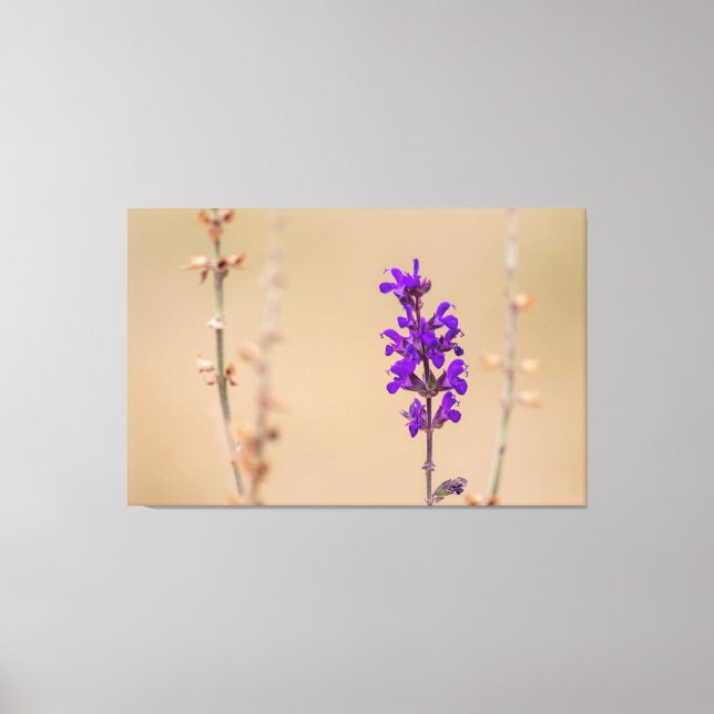 Lienzo Einfach zum Träumen und Wohlfühlen... (Anverso)