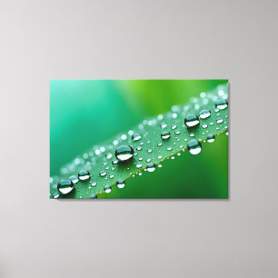 Lienzo El agua cae sobre las hojas