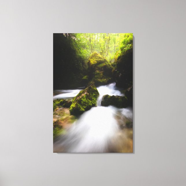 Lienzo El agua fluye a través del bosque de mezquitas enc (Anverso)