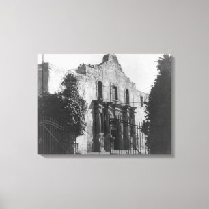 Lienzo El Álamo en San Antonio, fotografía #2 de TX