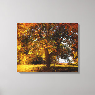 Lienzo El árbol de otoño
