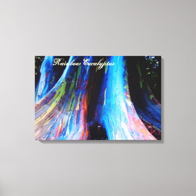 Lienzo El árbol del eucalipto arcoiris de Hawaii (Anverso)