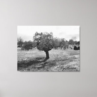 Lienzo el árbol solitario