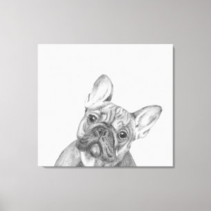 Lienzo El bulldog francés lindo 12" X12" envolvió la