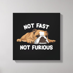 Lienzo El Bulldog inglés durmiendo no es rápido, no es cu