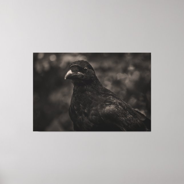 Lienzo El Buscador (Anverso)