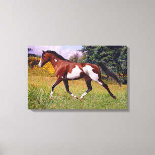 Lienzo El caballo de la pintura de la primavera estiró l