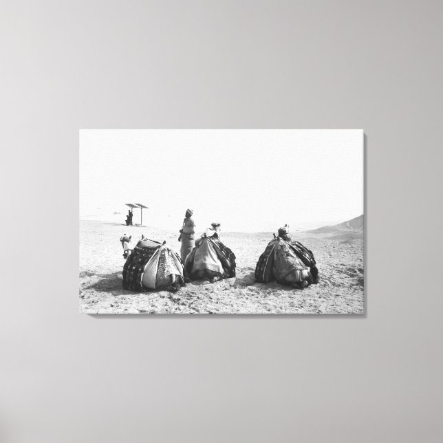 Lienzo El Cairo Egipto, Jinetes de Camellos Pirámides de  (Anverso)