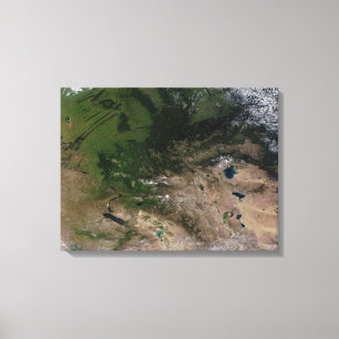 Lienzo El cambio en la vegetación