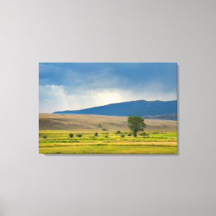 Lienzo El condado de Granite Montana