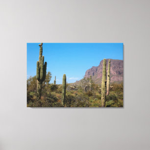 Lienzo El Desierto de Sonora de Arizona