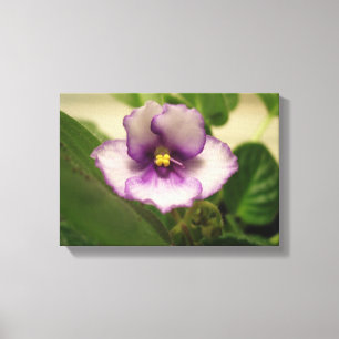 Lienzo El día perfecto Lily en Canvas