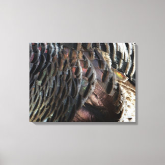 Lienzo El diseño de la naturaleza abstracta de las plumas