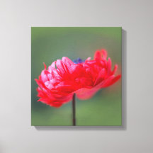 El efecto de pintura de flores rojas se cierra