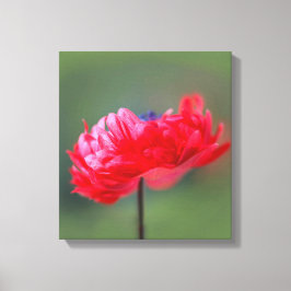 Lienzo El efecto de pintura de flores rojas se cierra