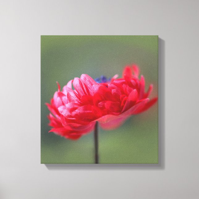 Lienzo El efecto de pintura de flores rojas se cierra (Anverso)