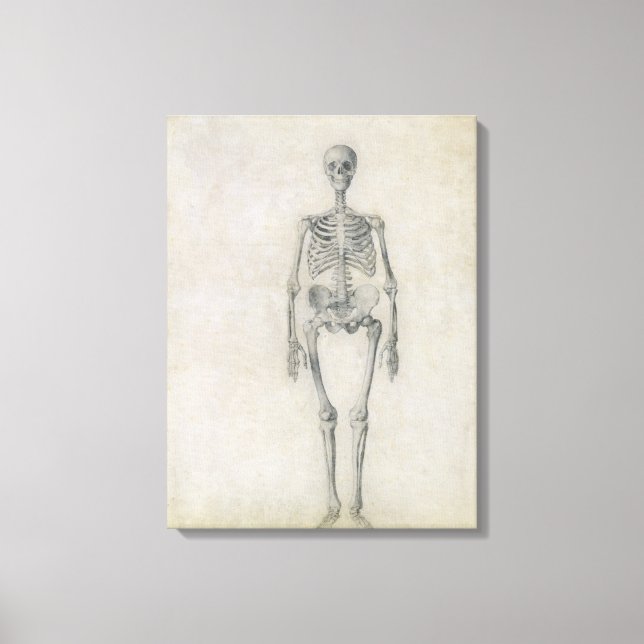 Lienzo El esqueleto humano, vista anterior, de la serie (Anverso)