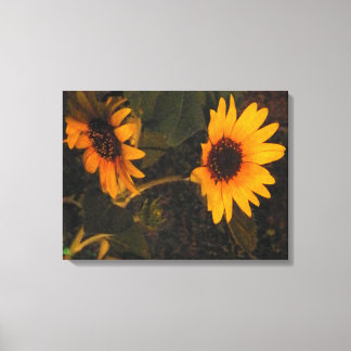 Lienzo El girasol en la foto del sol de la noche