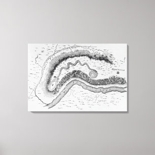 Lienzo El gran montón de la serpiente