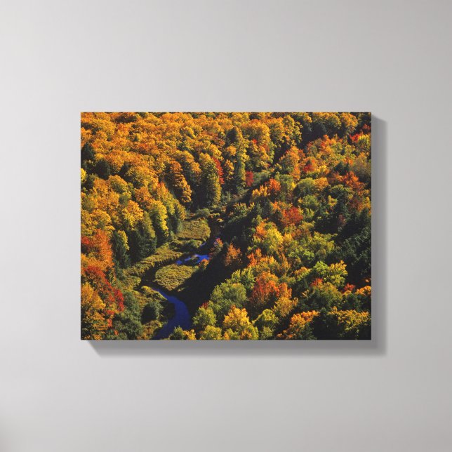 Lienzo El gran río carpa en otoño en Porcupine (Anverso)