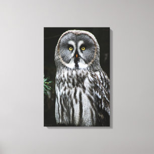 Lienzo El gran waccn de búho gris de 16x24 (40x60cm)