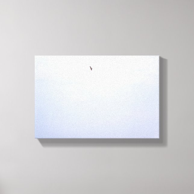 Lienzo El halcón de Swainson (Anverso)