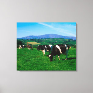Lienzo El Holstein-frisón se acobarda cerca de Borris,