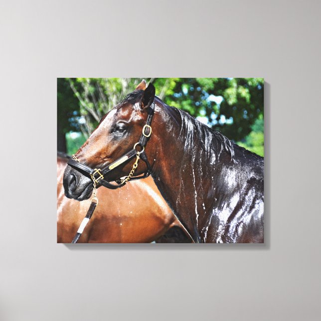 Lienzo El Imperio Pizza de Dom (Anverso)