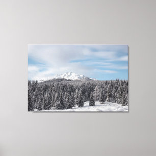 Lienzo El impresionante paisaje invernal