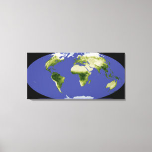 Lienzo El índice normalizado de la vegetación de la