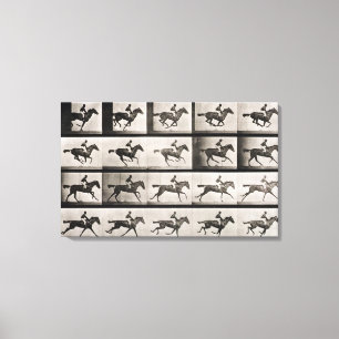 Lienzo El jinete en un caballo galopante, platea 627 de