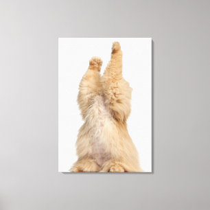 Lienzo El jugar del persa (3 años)