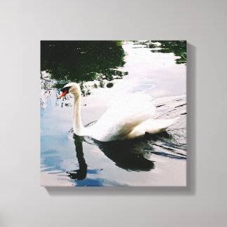 LIENZO EL MAJESTICISTA SWAN