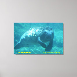 Lienzo El Manatee Gentil