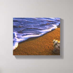 Lienzo El mar Shell en resaca divide en zonas