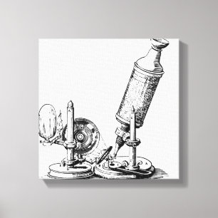 Lienzo El microscopio de Robert Hooke
