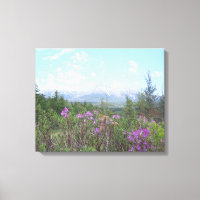 El Monte Katahdin y las flores silvestres