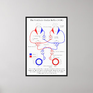 Lienzo El movimiento de los ojos ocular del VOR del