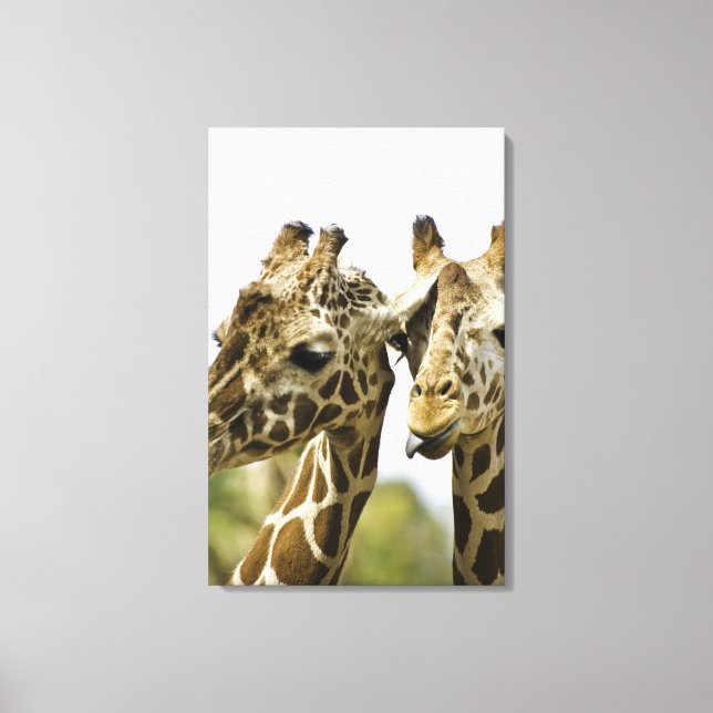 Lienzo El nombre giraffe deriva de la palabra árabe (Anverso)