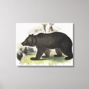 Lienzo El oso de Brown, pub educativo del ilustracion.