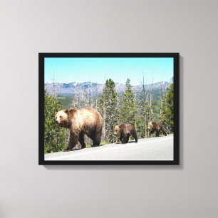 Lienzo El oso grizzly salvaje mamá y cobs en piedra amari